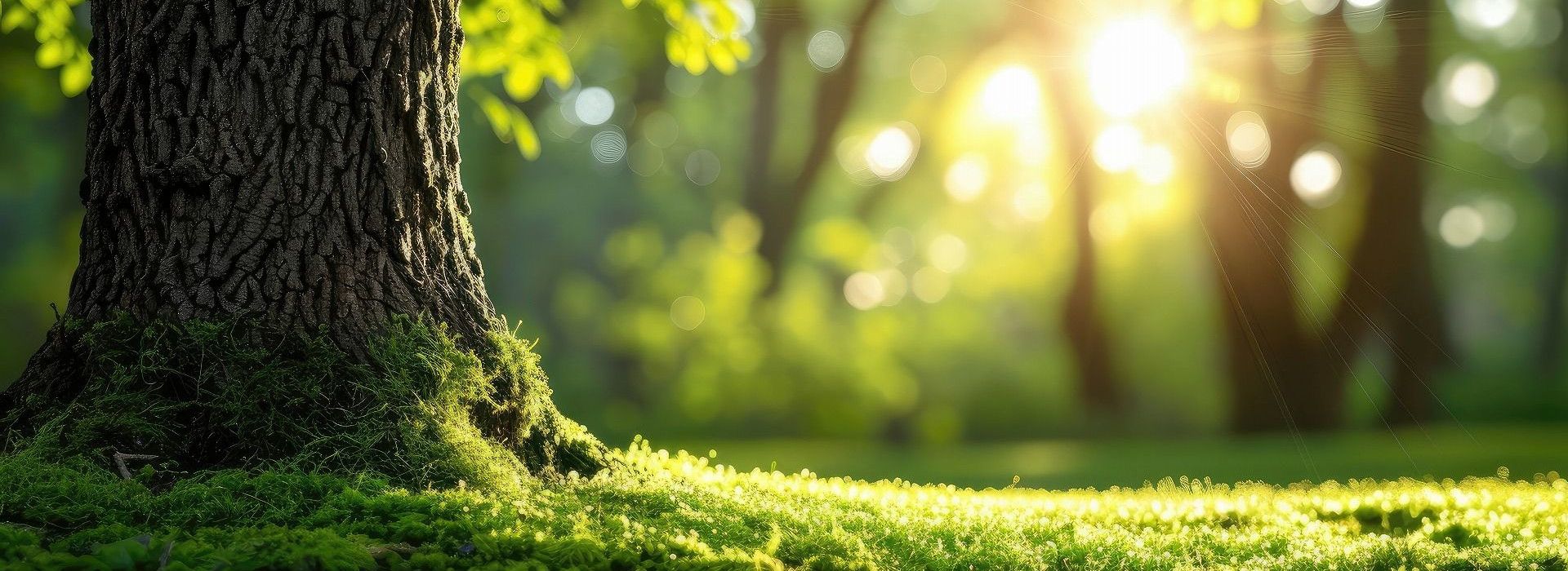 エコペイント株式会社　地球に優しい環境作り