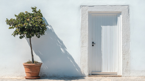 天然漆喰塗料(左官)